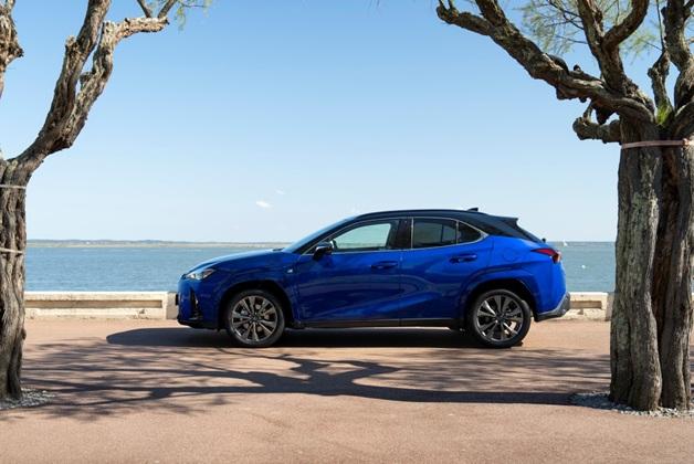Niebieski Lexus UX, zaparkowany na parkingu, a w tle widać wodę i niebo. Samochód znajduje się pomiędzy dwoma drzewami, które tworzą ramę dla zdjęcia.
